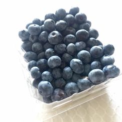 blueberry closeup